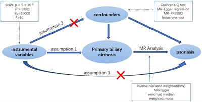 Primary biliary cirrhosis and psoriasis: a two-sample Mendelian randomization study